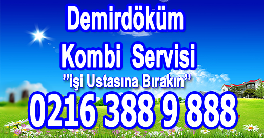 Pendik Demirdöküm Kombi Servisi